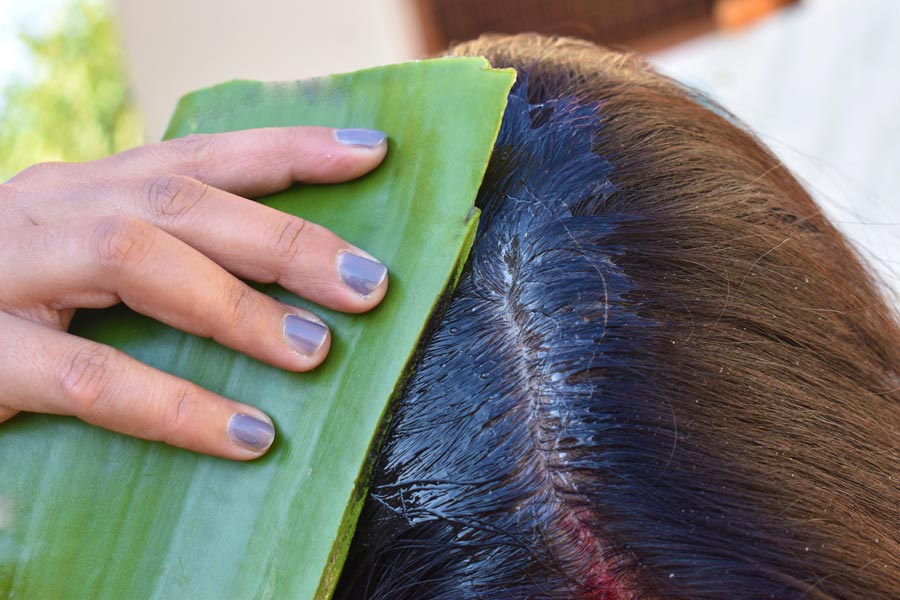 aloe vera per capelli