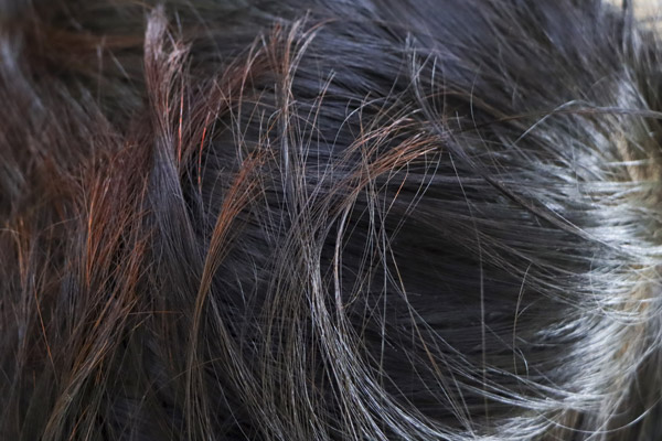 capelli fini